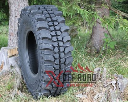 Obrázok pre výrobcu 31x10,5 R15 - T3