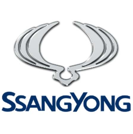 Obrázok pre kategóriu Šnorchle pre SsangYong