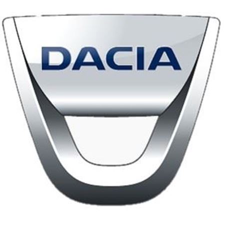 Obrázok pre kategóriu Šnorchle pre Dacia